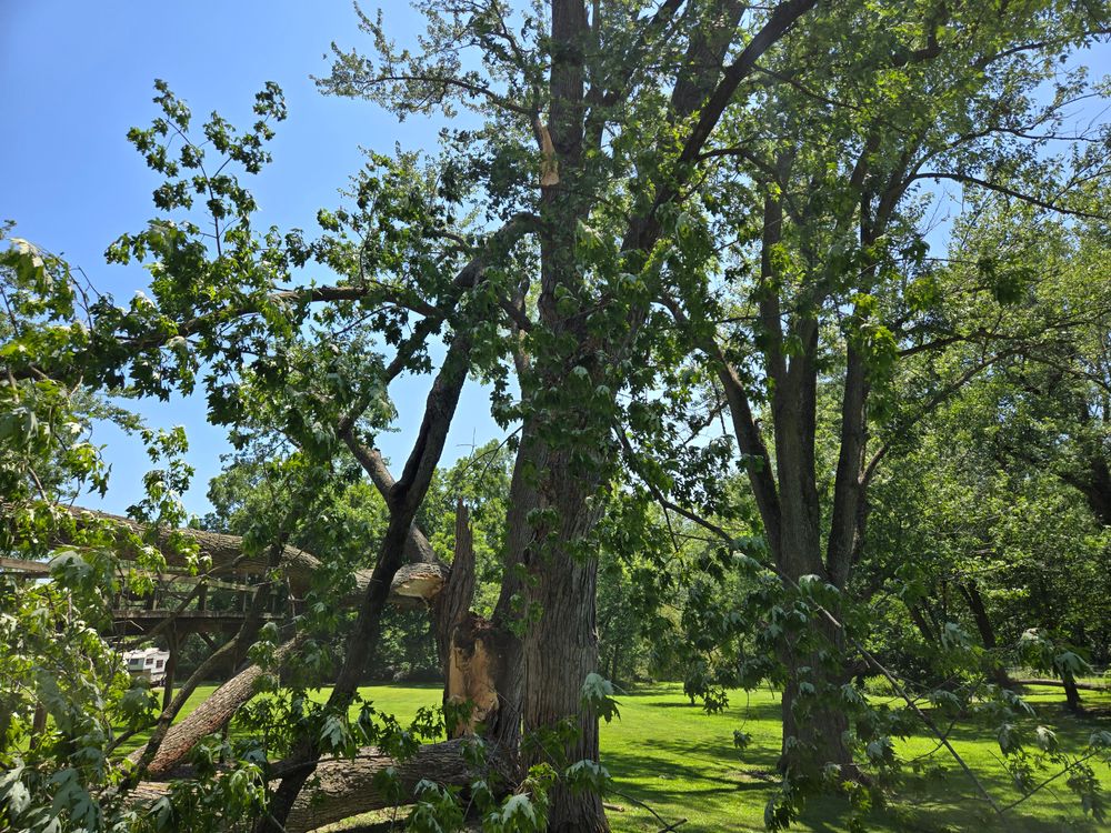 All Photos for Lawn Ranger Yard And Tree Service LLC in Ottumwa, IA