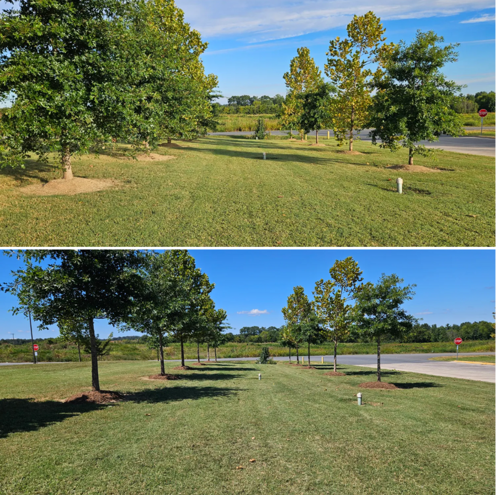 All Photos for Browns Grounds in Culpeper, VA
