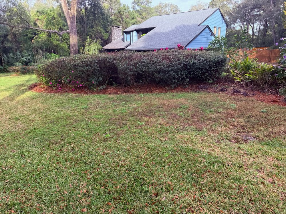 All Photos for Amerigrown Tree And Lawn in Apopka, FL