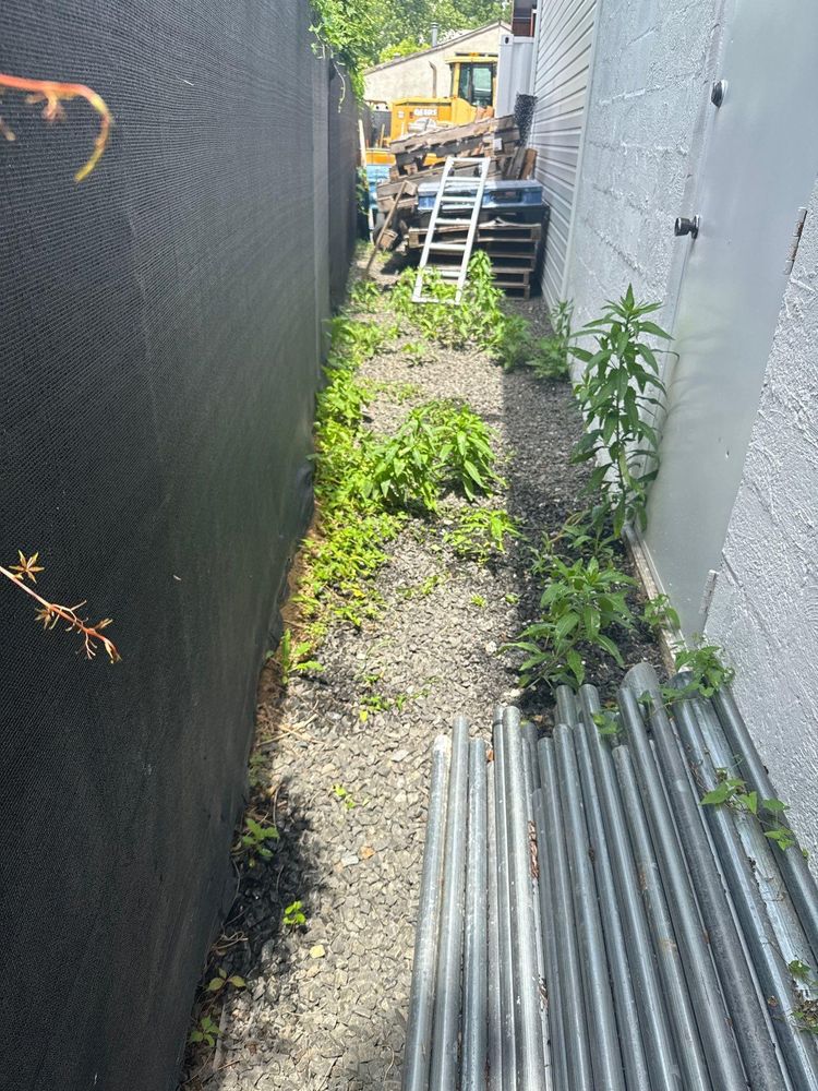 All Photos for Park Place Property Maintenance in Essex County, NJ