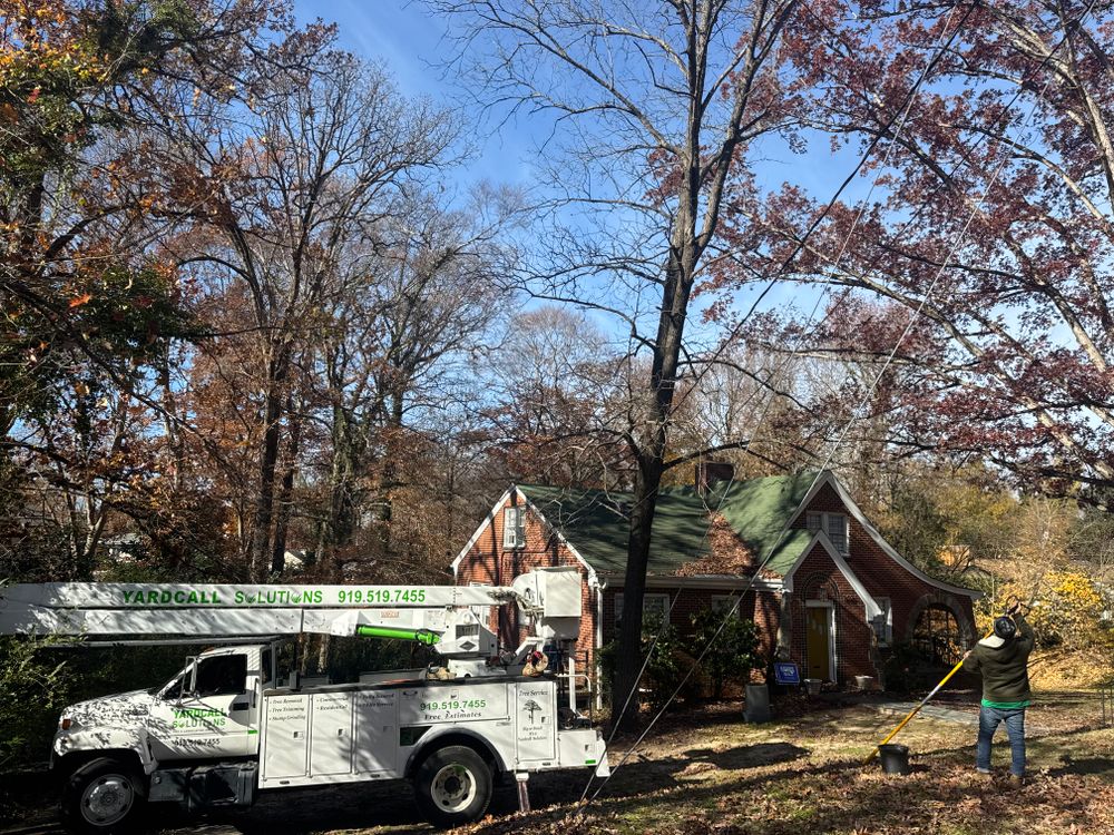 Tree Removal for Yardcall Solutions Tree & Landscaping Services in Durham, North Carolina