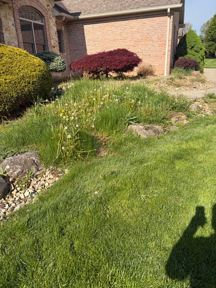 Natural Stone Hardscape for Youngstown Lawn & Patio Design in Canfield, OH