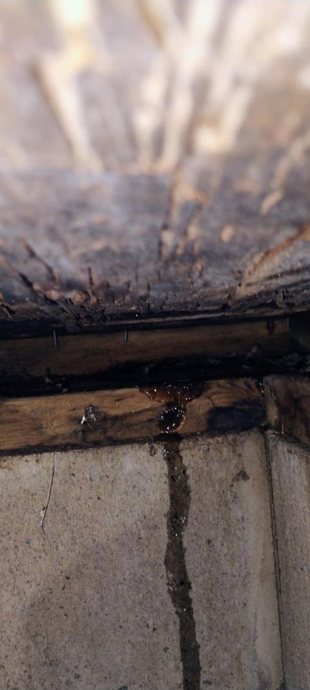 All Photos for Kemps’ Handyman Service in Shenandoah, PA