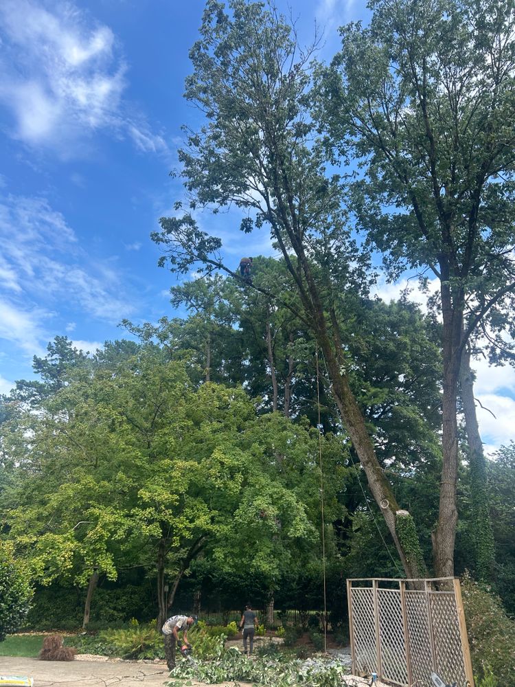 All Photos for Oakhurst Landscaping and Tree Service in Charlotte, NC