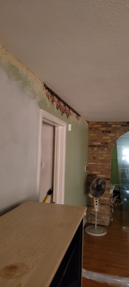 All Photos for Millenium Construction & Property Management in Tampa, FL