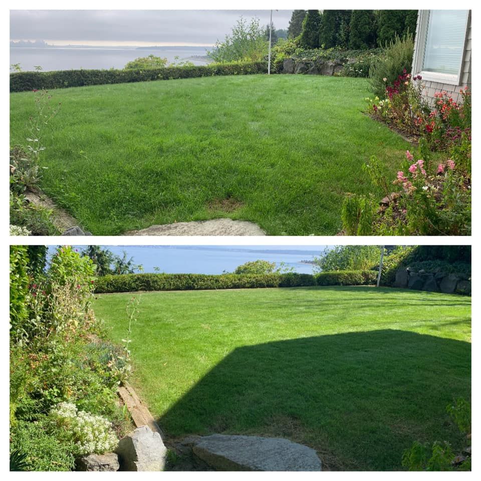 All Photos for Hall of Fame Landscaping in Bremerton, WA