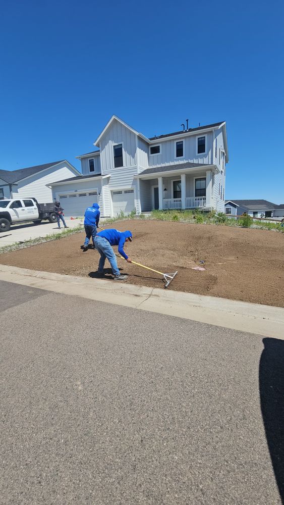 All Photos for NGL Landscape Company in Denver, CO