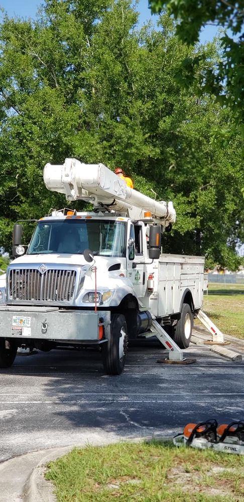 Tree Removal for Daniel Hickey’s Tree Service in DeLand, FL