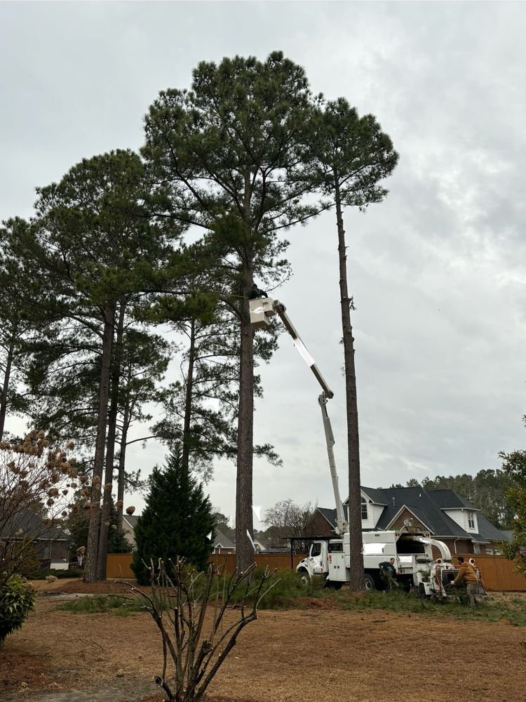 All Photos for Barbers Outdoor Services in Grays Creek, NC
