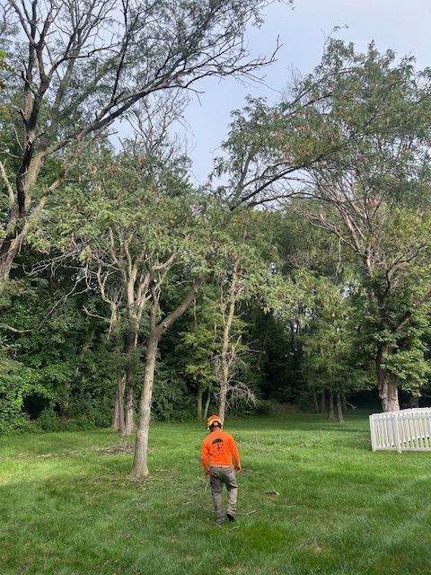 All Photos for Cross Family Tree Service in Kearney, MO