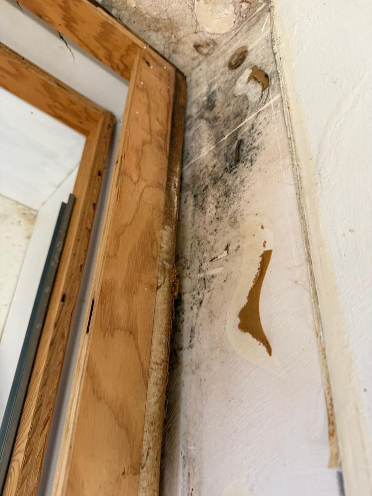 All Photos for N&D Restoration Services When Disaster Attacks, We Come In in Cape Coral,  FL