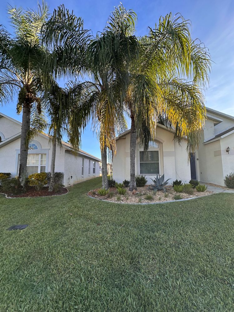 All Photos for Ludlows Services in Clermont, FL