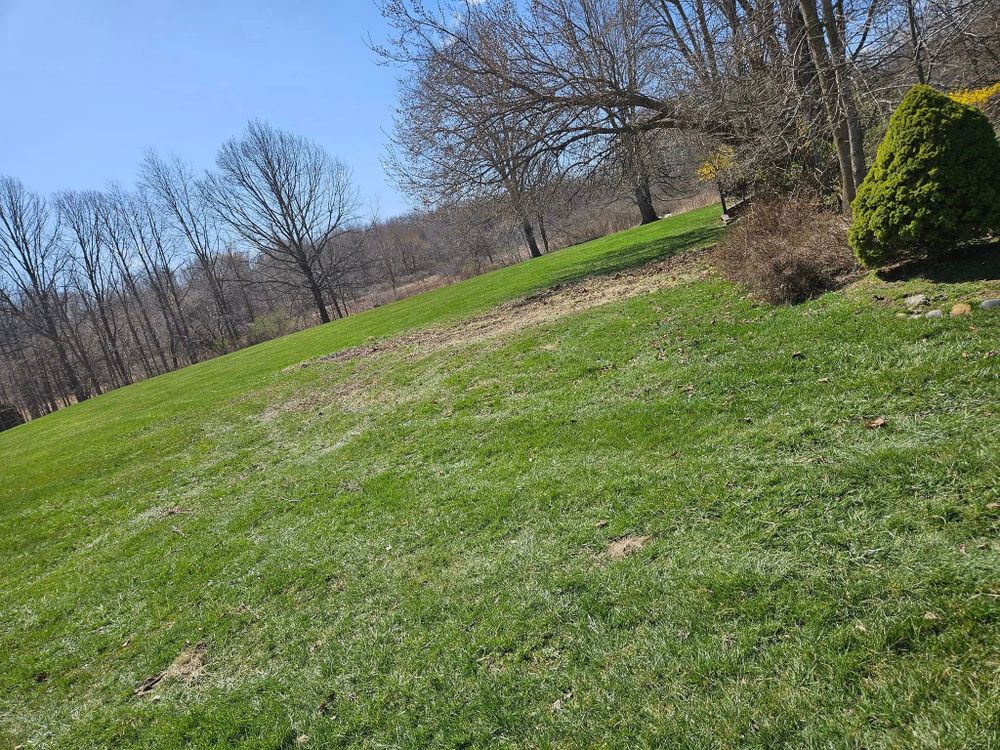 All Photos for 360 Outdoor Services in Lapeer, MI