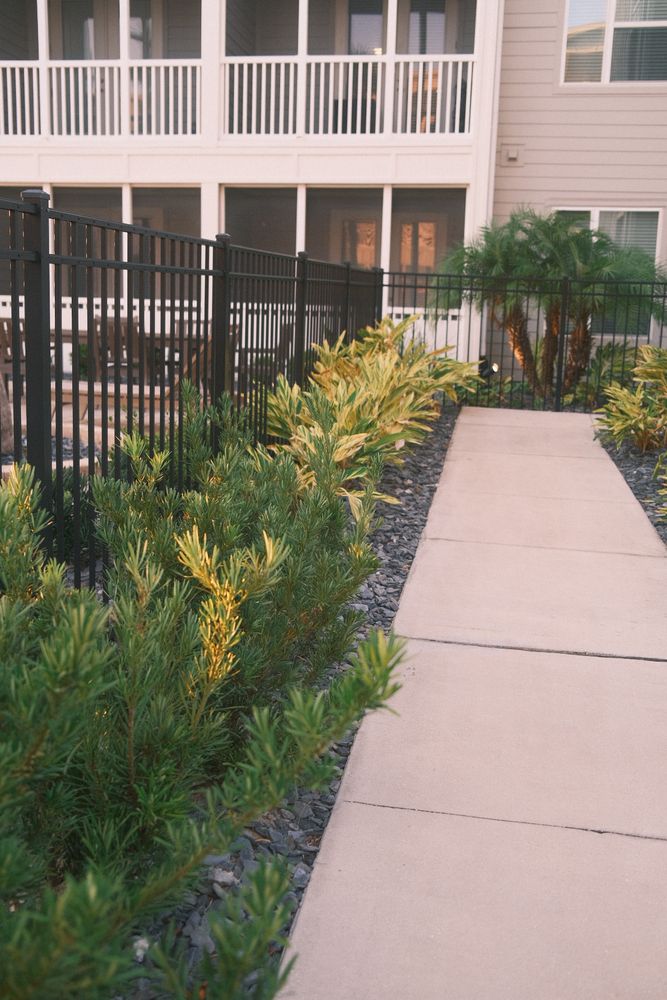 All Photos for Pro Designs Landscaping in Jacksonville, FL