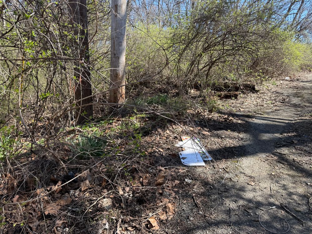 All Photos for A1 Bush Hogging & Lawn Service in London, OH