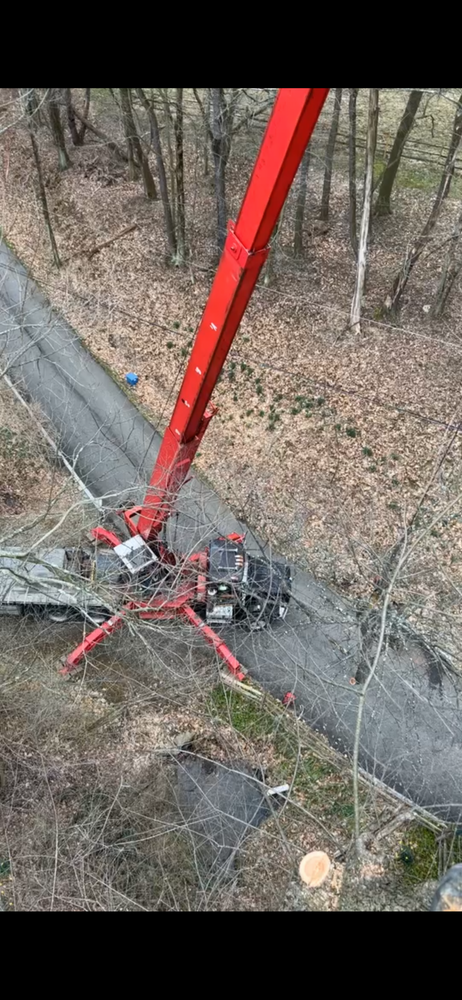 Tree Removal for JJ Tree Service in Gibsonia, PA