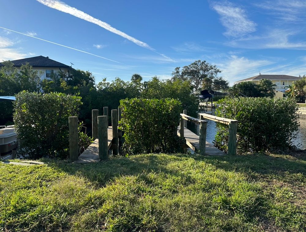 All Photos for MX Trees LLC in Englewood, FL