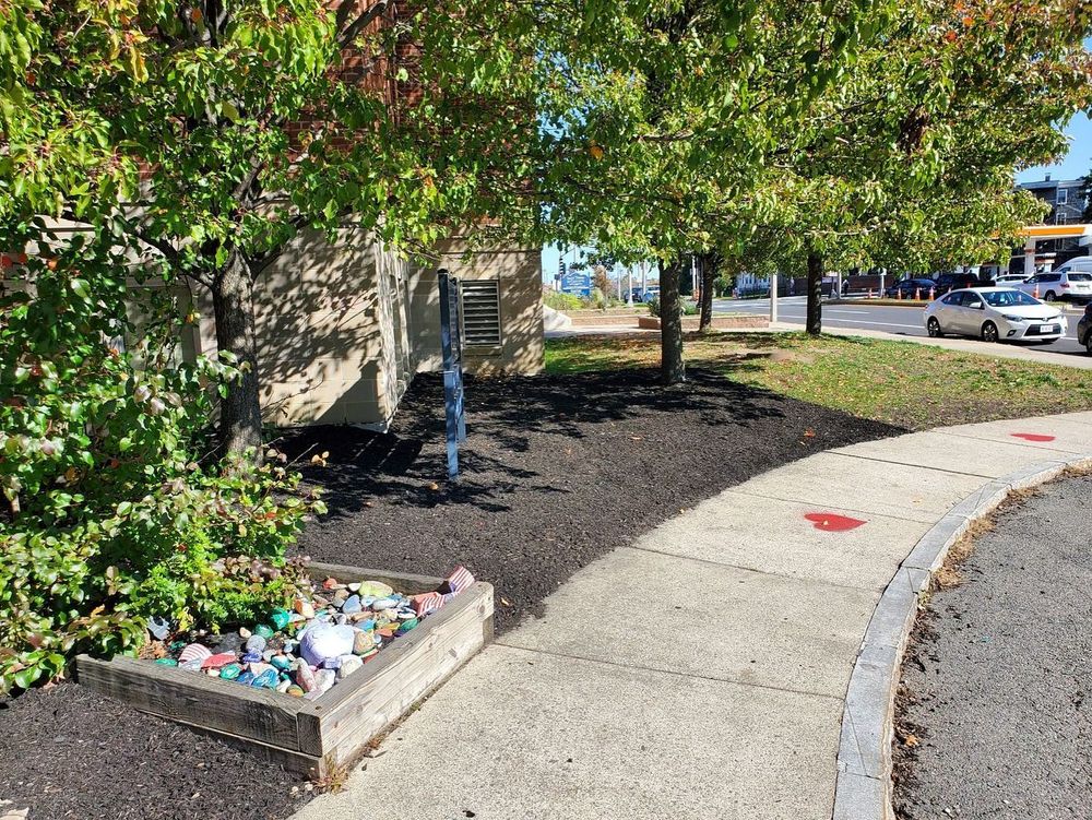 Landscaping for Zammito Landscape Construction in Dorchester, MA