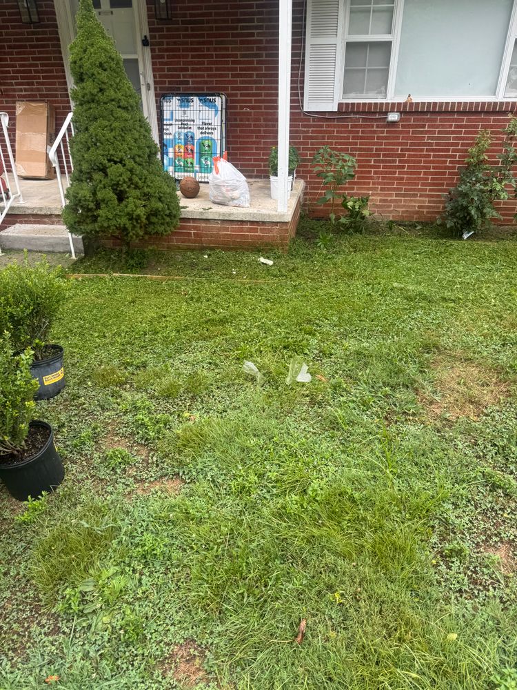 All Photos for R&M Property Maintenance in White Pine, TN