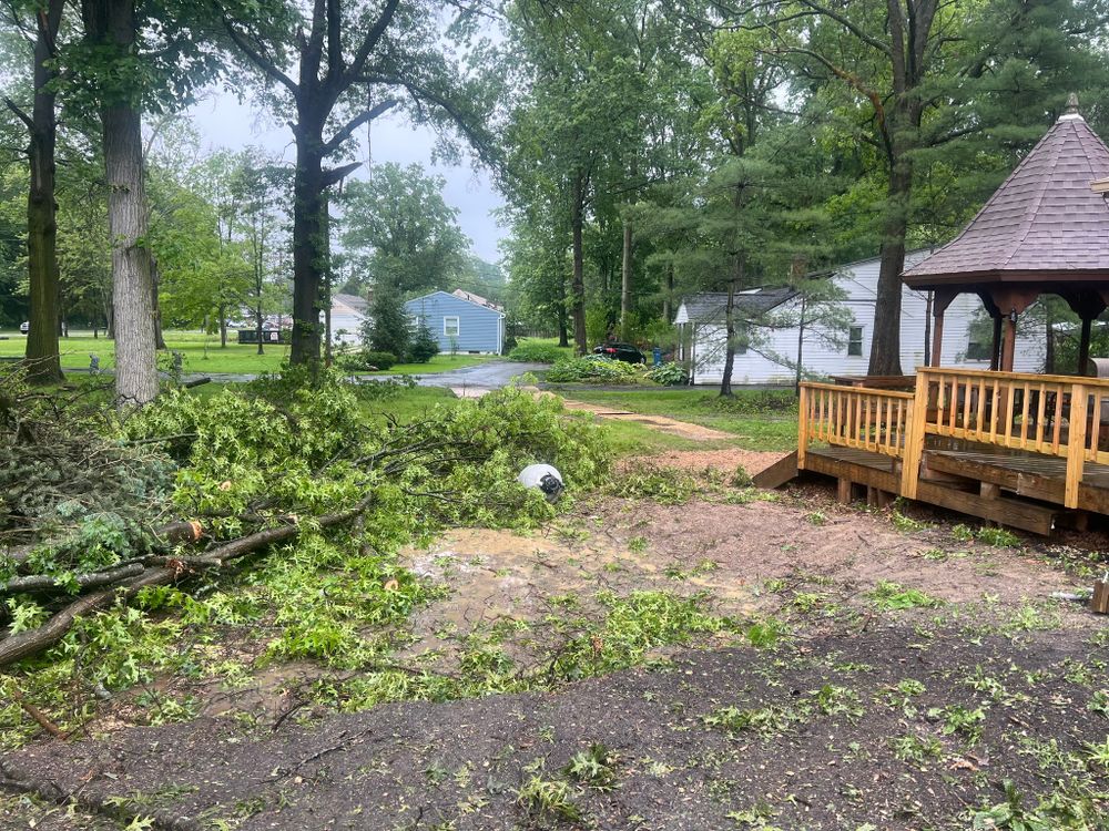 Our Emergency Tree Removal service ensures safe and prompt removal of hazardous trees from your property. Trust our experienced team to protect your home with efficient tree removal solutions tailored to urgent needs. for Down To Earth Tree Service, LLC in Olmsted Falls, OH