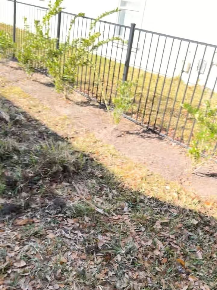 All Photos for Whole 9 Yards Services LLC in Green Cove Springs, FL