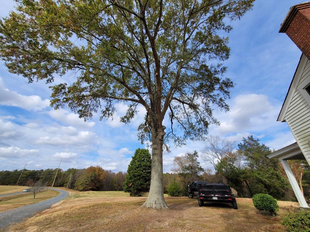 All Photos for Preserve A Tree LLC in  Mount Pleasant, North Carolina