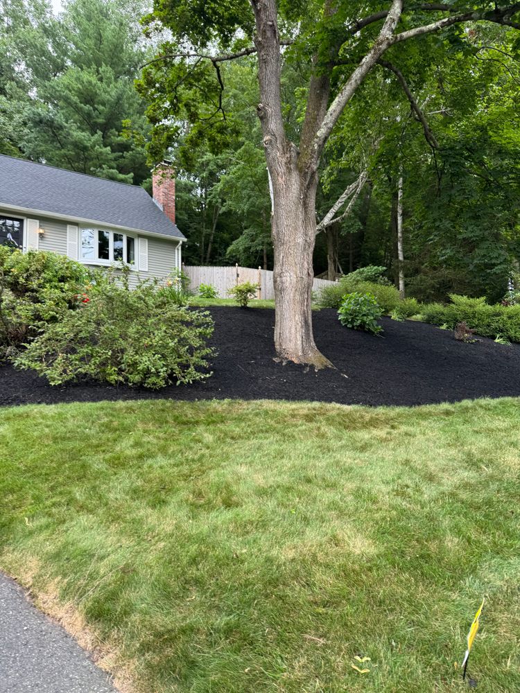 All Photos for Adams Landscaping in Springfield, MA