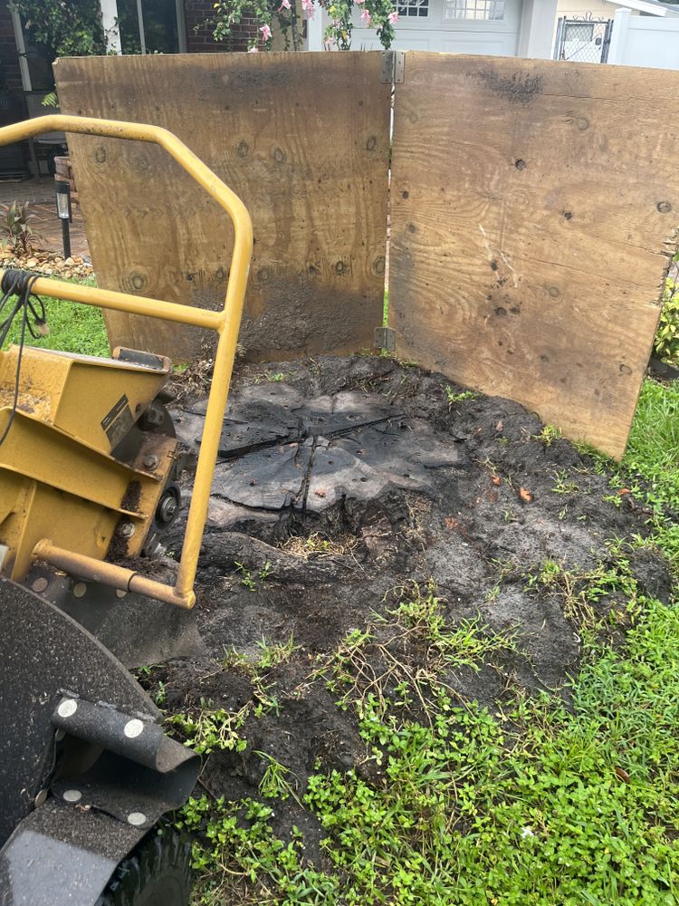 All Photos for KB’s Stump Removal in Seminole, FL
