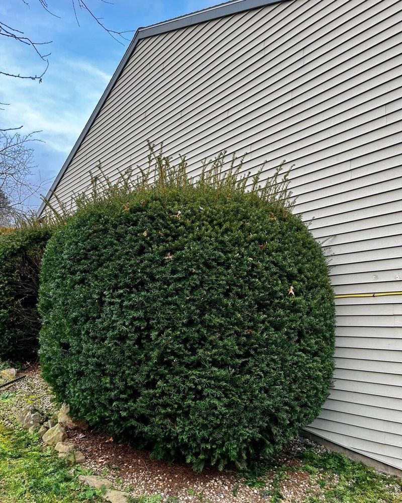 All Photos for Conoy Acres Lawn Service in Elizabethtown, PA