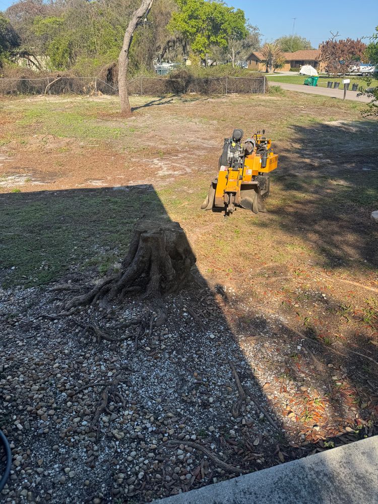 All Photos for Rize N’ Grind  in Punta Gorda, FL