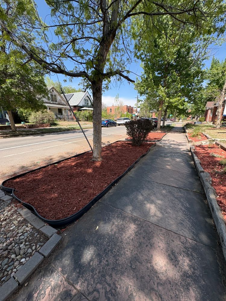 Landscaping for Denver Bros Lawn Control in Denver, CO
