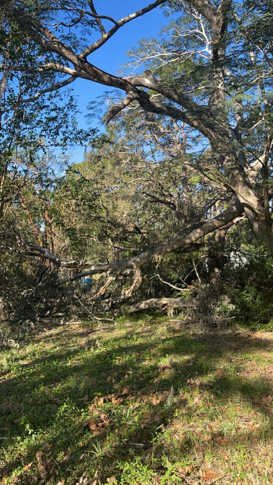 All Photos for All Around Guys Tree Service in Ocala, FL