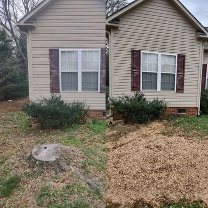 All Photos for Morgan's Stump Removal in Rock HIll, SC