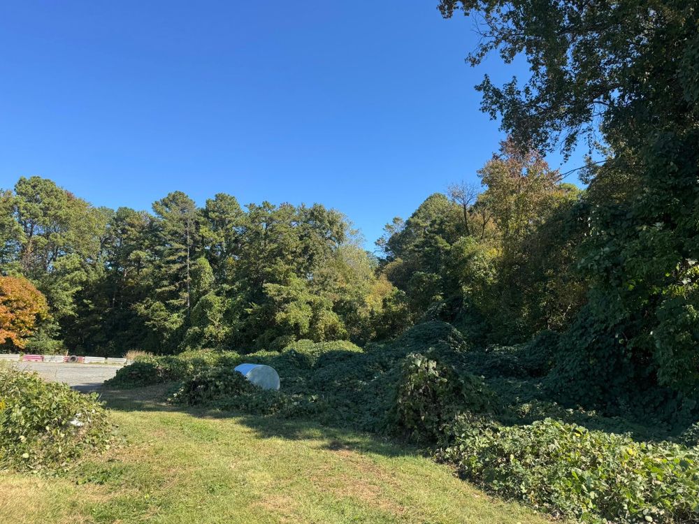 All Photos for Southern Turf & Landscape in Concord, NC