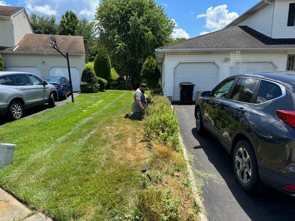 All Photos for Stars and Stripes Landscape Design LLC in Edison, NJ
