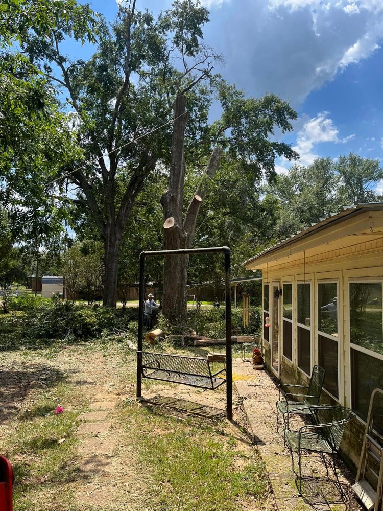 All Photos for JC Land and Tree Service in Kilgore, TX