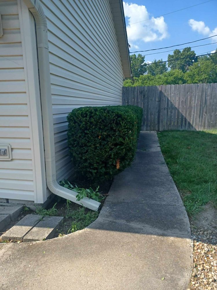 All Photos for Prime Landscaping 219 in Lake Station, IN