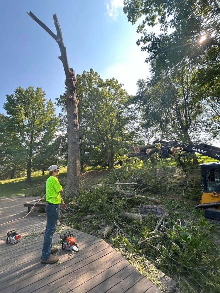 Our Emergency Tree Services respond quickly to storm damage, fallen limbs, and hazardous trees, protecting your home and family with fast assessment, safe removal, and dependable help when urgent situations arise. for Hendricks Tree Service in Belleville, IL