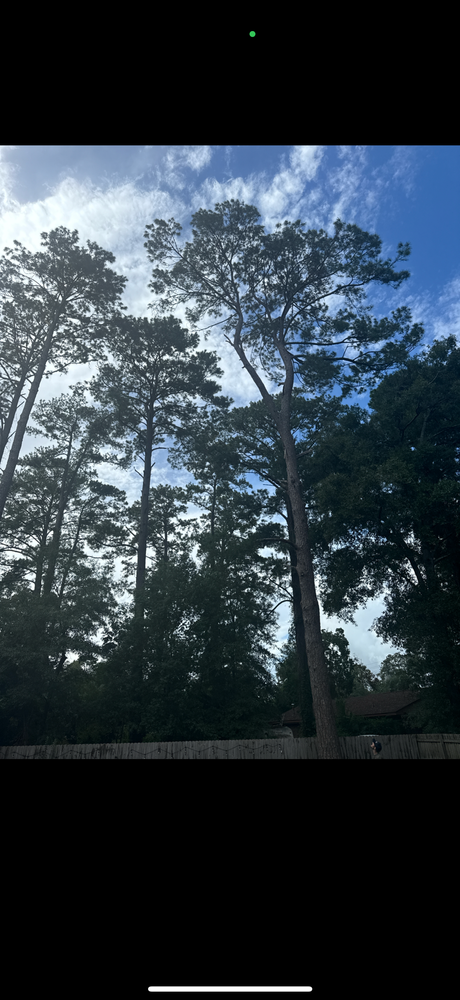 All Photos for Hawkins Tree Service & Land Management in Richmond Hill, GA