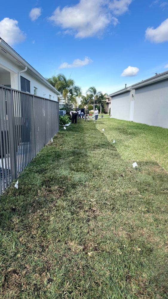 All Photos for South Florida Terra Systems in Boca Raton, FL