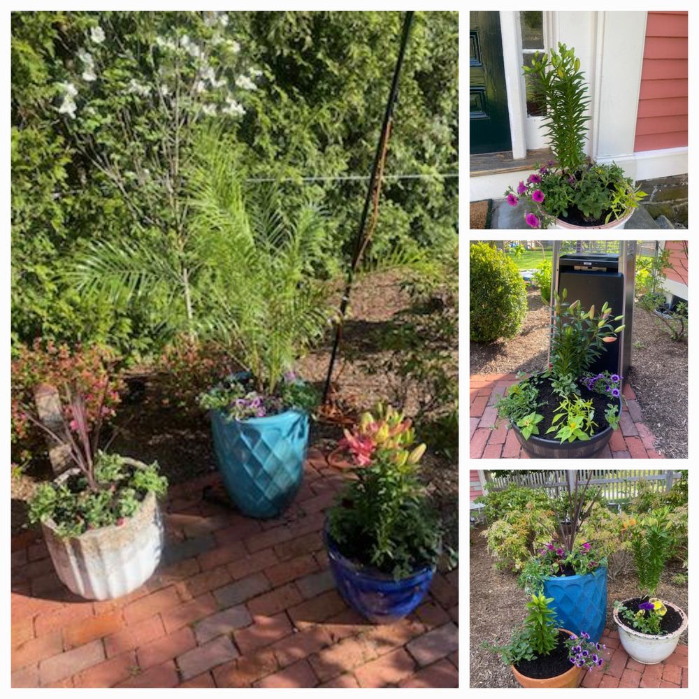 All Photos for M.J. Construction & Landscape INC in Bristol, RI
