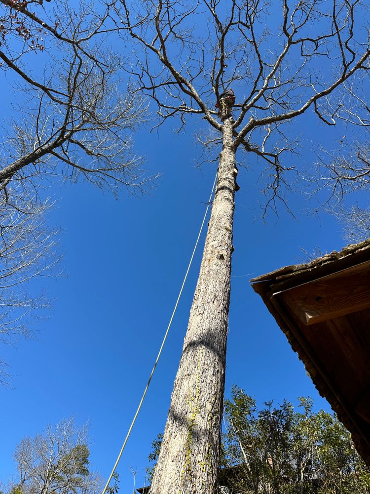 All Photos for ArborMax in Thomaston, GA