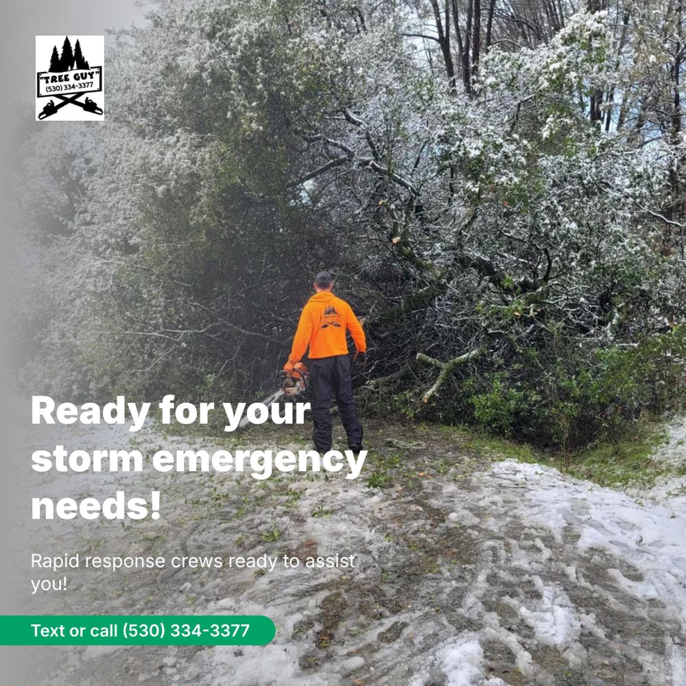 All Photos for George Staddan's Professional Tree Care in Placerville, CA