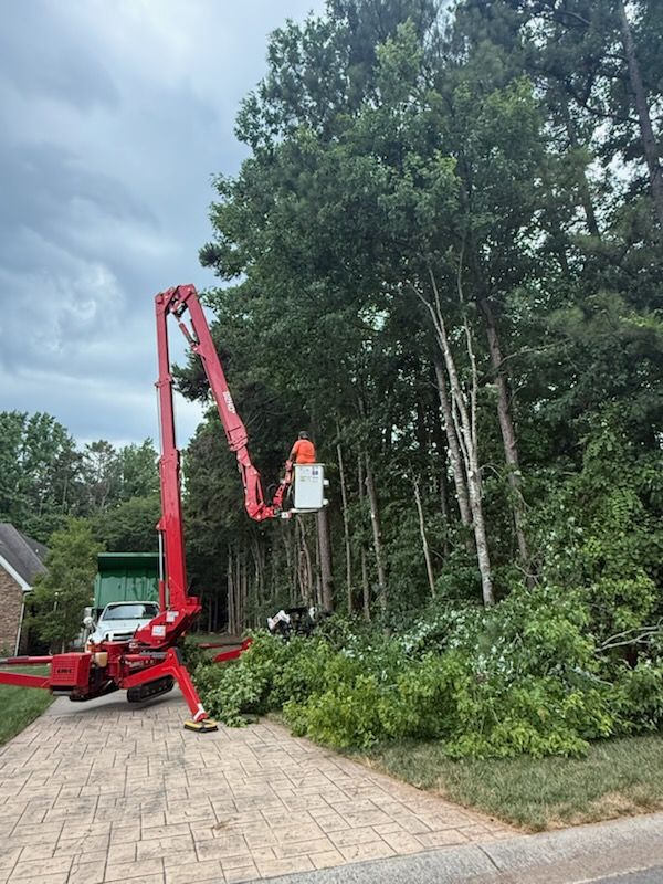 Enhance your home's beauty and safety with our expert tree trimming service. We ensure healthy growth by removing dead branches, improving aesthetics, and preventing potential hazards to maintain a lush landscape. for A2Z Tree and Stump Removal in Charlotte, NC
