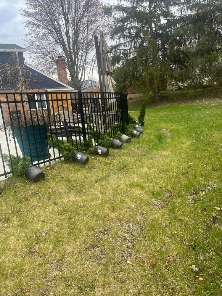 All Photos for Cincinnati’s Finest Landscape Services LLC in Cincinnati, OH