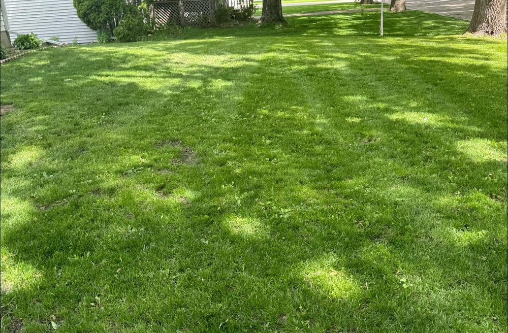 Land Clearing for RTK Co. Land Management in Raymond, MN