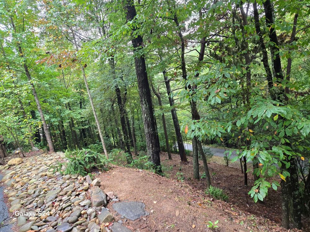 Enhance your home's outdoor appeal with our expert lawn maintenance service, ensuring lush, healthy lawns year-round. We offer mowing, trimming, and edging for a pristine landscape that complements your screen porch beautifully. for C4 TrueVision Renovations in Asheville, NC