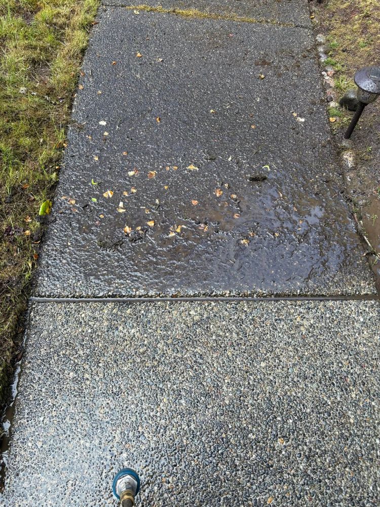 Our Fall Clean Up service ensures your yard is pristine, removing leaves and debris, trimming overgrown shrubs, and preparing your landscape for winter. Enjoy a tidy outdoor space effortlessly. for Teo’s Property Maintenance and Solutions in Redmond, WA