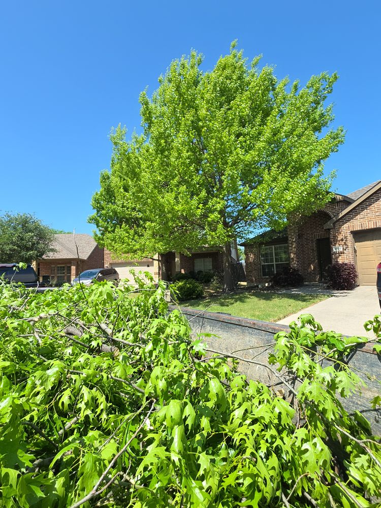 All Photos for RACSO RDZ LLC in McKinney, TX