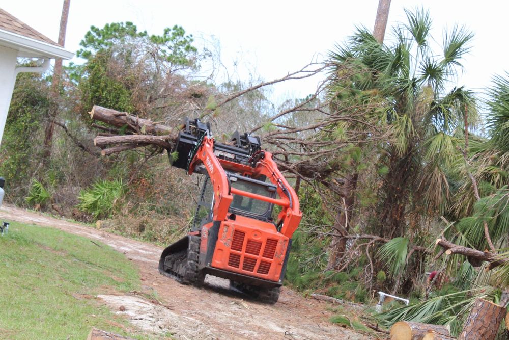 Tree Removal for American Tree Masters in Alvin, TX